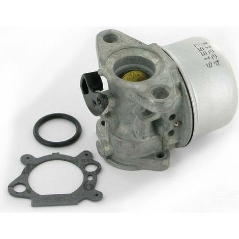 Jardiaffaires – Carburateur adaptable Briggs Stratton – Remplace 799868 – Compatible moteurs QUANTUM avec PRIMER – Solution efficace pour entretien moteur (1/4)