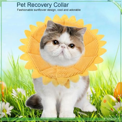 Collier de récupération pour animaux - FAFEICY - n°2 20-23 cm - tournesol - coton doux - jaune (1/5)