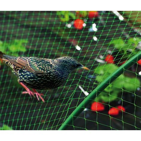 Nortene-Malla antipájaros verde Birdnet  5380/4X12MT (1/5)