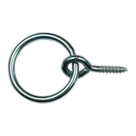 Vite Con Anello Zn 42/ 70 (A 10) (1/3)