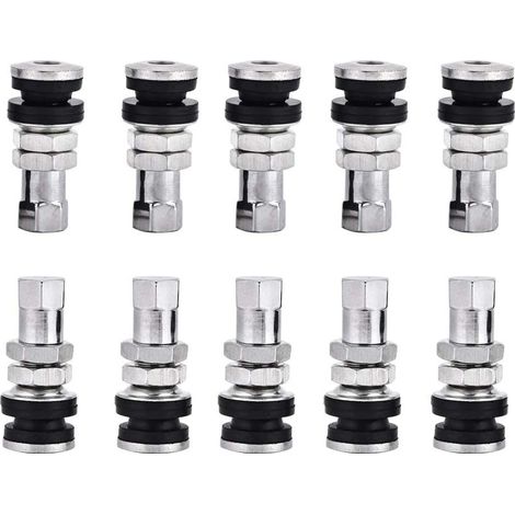 Valve de Pneu à Vis en Métal TR161 avec Capuchons Anti-poussière, Lot de 10 pour Pneus de Camion et de Moto Tiges de Valve en Métal pour Les Mécaniciens et Les Passionnés (1/5)