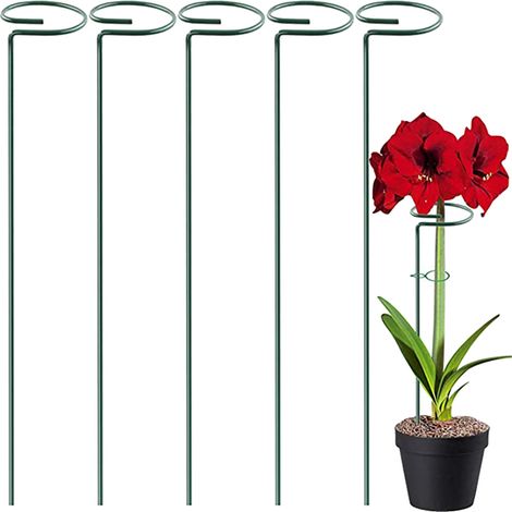 Lot de 5 Tuteur, Acier revêtu, Anneau support, Plante tige unique, Jardin extérieur (1/5)