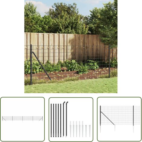 Clôture en treillis Clôture de jardin Clôture Grillage métallique et ancrage anthracite 0,8x10 m 27575 (1/5)