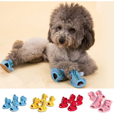 Chaussures Pour Chien - Semelles Respirantes En Maille - Protection Contre Les Sol Brûlants En Été - Lot De 4 (1/5)