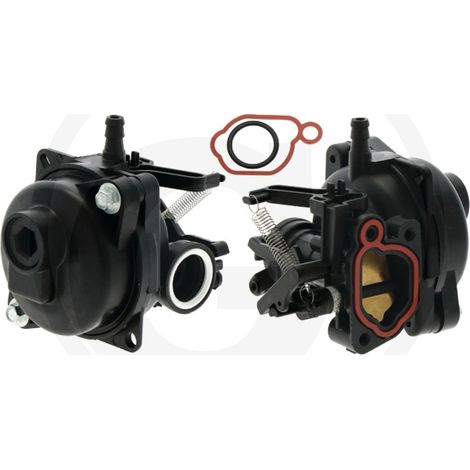 Carburador compatible con el motor BRIGGS & STRATTON modelo 09P702