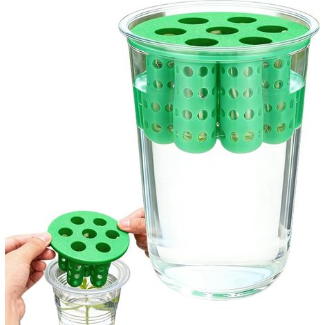 für Zwiebeln wiederverwendbar und transparent Behälter für