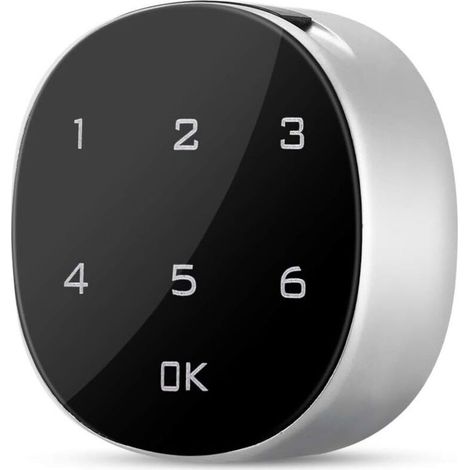 Serrure à Code Numérique, Cadenas à Combinaison en Alliage de Zinc avec écran Tactile, Serrure Intelligente Serrure à Combinaison de Code pour Porte pour Armoire, Boîte à Outils, Tiroir (1/4)