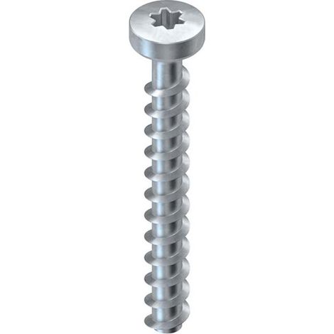 Niedax Schraubanker NSA 6X50/FKK-T30 V 100 Stk