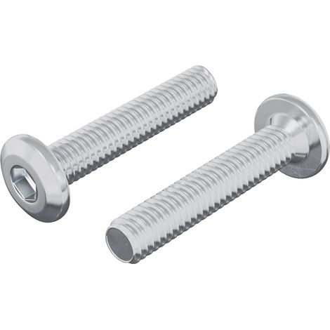 Tornillo de Bloqueo de Cabeza 2 pcs Plateado M6 x 30 mm Acero vidaXL