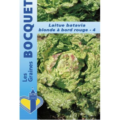 Batavia 'Blonde à bords Rouge' le sachet de 2500 graines (3g) (1/2)