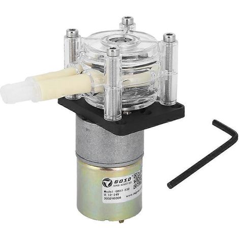 Peristaltische Pumpe, selbstansaugend, Edelstahl-Radrahmen, transparenter PC-Kopf, Gleichstrommotor (24 V)