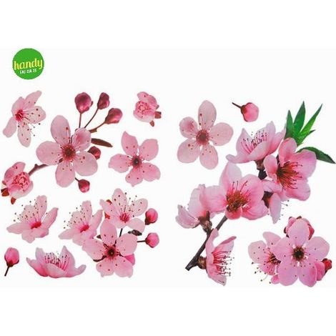 Sticker cherry blossom Crearreda adesivo murale frasi famose natura geometrie fantasie 31X31 CM