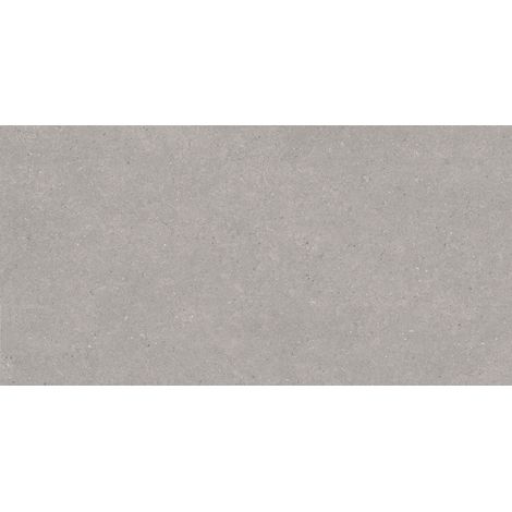 Mexen Monaco Grey carrelage céramique gris mat 120 x 60 cm, matt - TL313-120-060-02 (1/5)