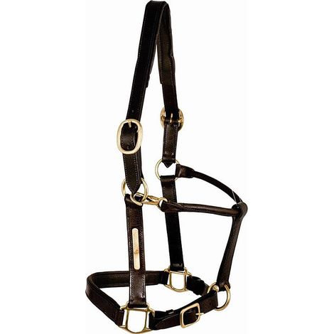 Capezza in cuoio con imbottitura in pelle: Cob, marrone (04)
