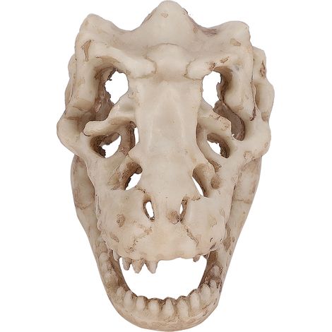 Décoration pour aquarium : crâne de dinosaure artificiel en forme de crâne, idéal pour la décoration de plantes aquatiques et d'aménagement paysager. (1/5)