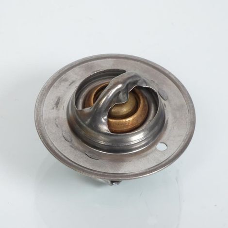 Original-Thermostat für Triumph 675 Daytona nach 2006 T2100675 / (1/3)