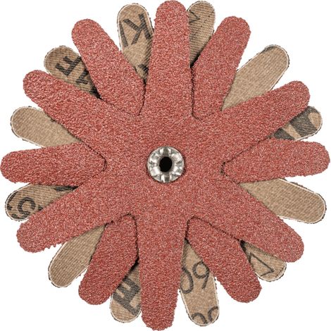 PFERD TOOLS POLISTAR-TUBE PST-T Ø 100mm Bohrung Ø 5 mm A60 zum Schleifen von Bohrungen und Rohren 10 Stk