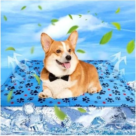 Tapis Rafraichissant Chien & Chat Coussin Rafraichissant pour Chien, Tapis Refrigerant pour Animaux, Étanche et Facile à Nettoyer, Convient aux Petits et Grands Chien de Compagnie, 50×40cm