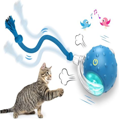 Juguete interactivo para perros Tinyfetch 2026, pelota de movimiento rápido con canto de pájaro, giro automático de 360° (Azul1)