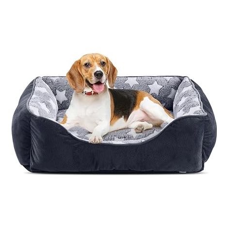 Panier Chien Moyen Taille, Lit Chien Lavable, 63x53x20cm Panier pour Chien et Confortable, Lit pour Chien Antidérapant, Motif Étoilé, Rembourrage Épais pour Moyens Chiens (1/5)