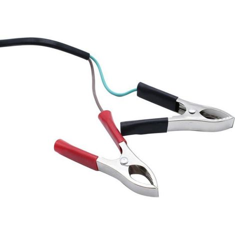 Pompe à huile électrique multifonction CC 12 volts 38 mm, pompe de transfert de carburant diesel avec filtre, mini portable (1/3)