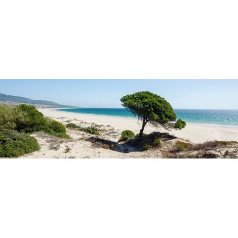 Tableau sur toile arbre solitaire 30x97 cm - Impression sur Toile Murale Décorative - Image imprimée en HD sur Toile - Toile sur Châssis en Bois FSC - Fabriqué en France (1/4)