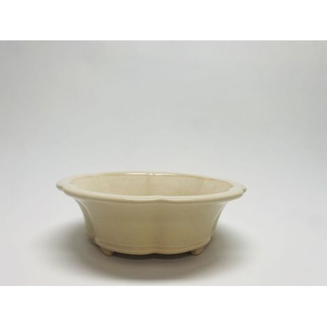 Pot à Bonsaï Émaillé avec Trous de Drainage et de Ligature Blanc Floral 20 x 20 x 10 cm - PANGIVO (1/5)