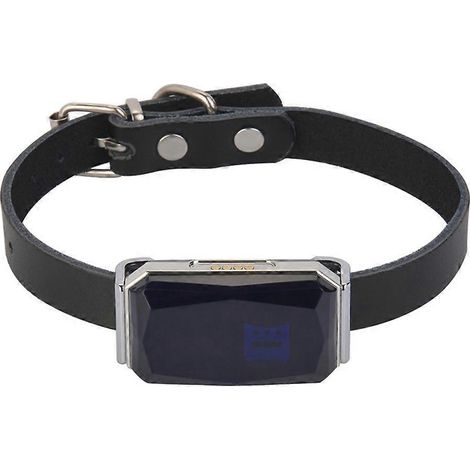 Collier pour animaux de compagnie étanche IP67 avec mini traceur GPS GSM AGPS Wifi LBS pour le suivi des animaux (1/5)