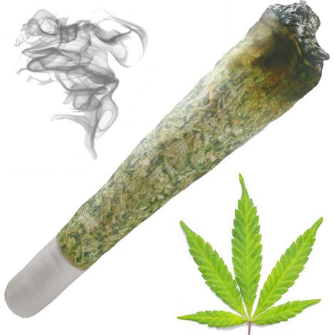 ALMOHADA DE 1,5 METROS CON THC Y CBD DE GANJA DE GIBON PARA REGALO DE 18 CUMPLEAÑOS (1/5)