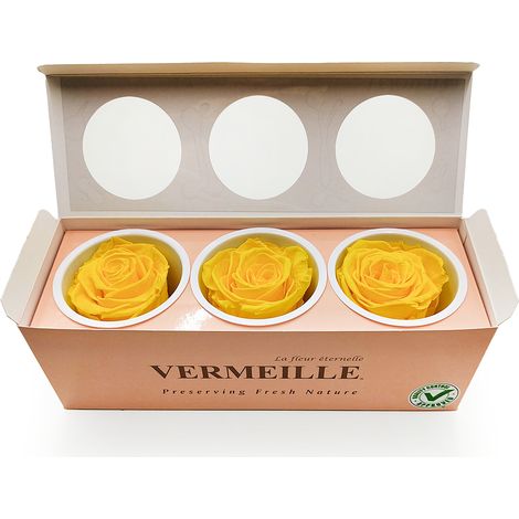 Rosa estabilizada - Amarillo canario - XL - 3 unidades (1/5)