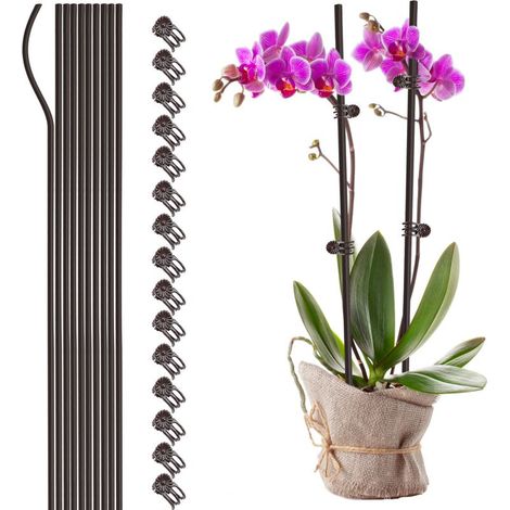 Tuteur pour Plantes TOMAX 60cm/23.6in avec Clip Support Flexible en Plastique Coated Steel Invisible 10 Piquets + 15 Attaches pour Orchidées/Végétaux (1/5)