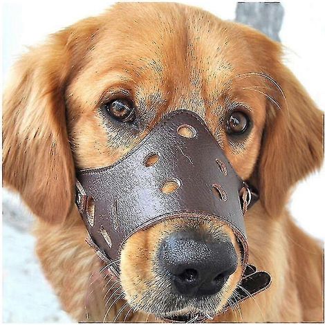 Muselière anti-aboiement en cuir pour chiens de grande, moyenne et petite taille (taille M) (1/5)