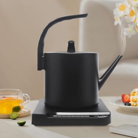 1000W Bouilloire en acier inoxydable, 1 l, bouilloire électrique, température réglable, contrôle de la température 45-100 °C, 21,5 x 13,3 x 22 cm