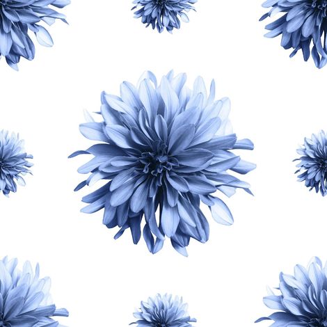 Telas decorativas Oxford para exteriores - Motivo de dalia azul (1/5)