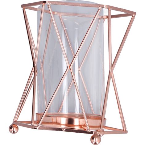 Vase à plantes avec support à fleurs en fer forgé, pot de fleurs en verre transparent, vase hydroponique pour salon (1/5)