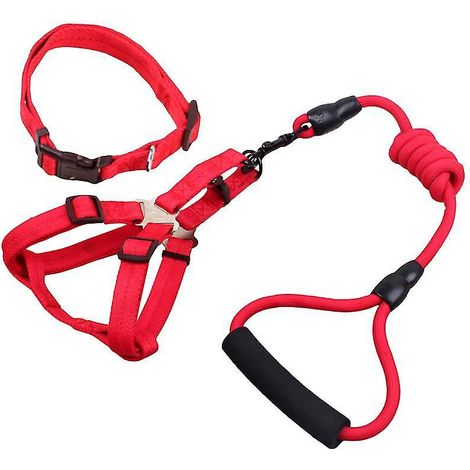 3-teiliges Set aus Hundegeschirr und Leine
