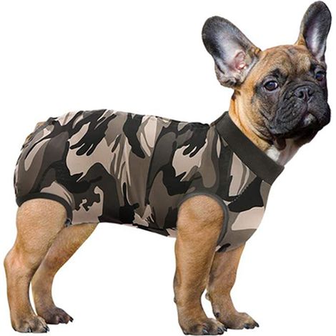 Costume De Récupération Pour Chien Combinaisons De Chats Pour Les Blessures Abdominales Chemise De Récupération Pour Homme Femme Chirurgie Pour Animaux De Compagnie Combinaison Confortable Après La Ch