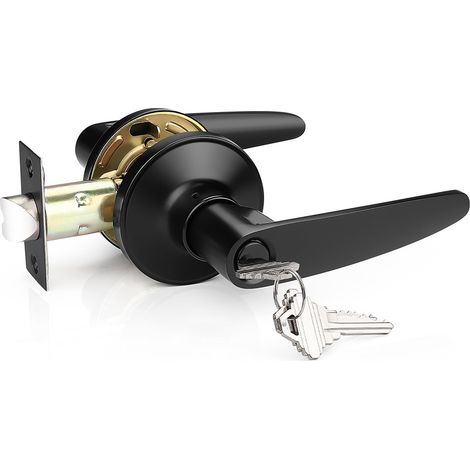 (Lot de 1) Serrure de porte d'entrée à levier noire avec cylindre et clé (1/5)