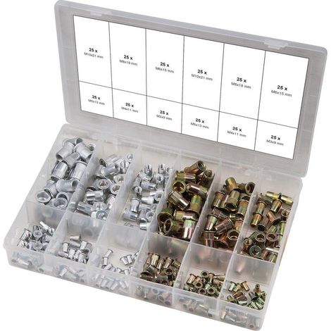 kstools 970.0630 Kit Rivetti Acciaio Alluminio 300 Pezzi