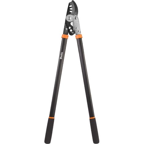 Grilles de taille pour branches avec outils de la série V, lames assorties-AquaForge (1/3)