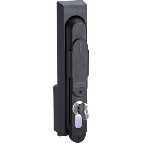 poignée avec serrure à clé 405 - version nsyplm108/t - schneider electric nsytel405pl (1/3)
