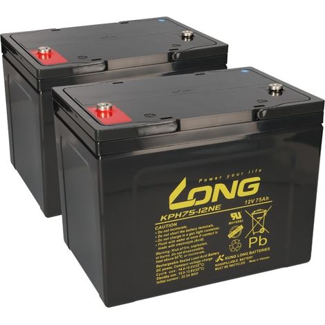 Ersatzakku für Sopur E155 2 x 12V 75Ah Blei AGM zyklenfest (1/5)