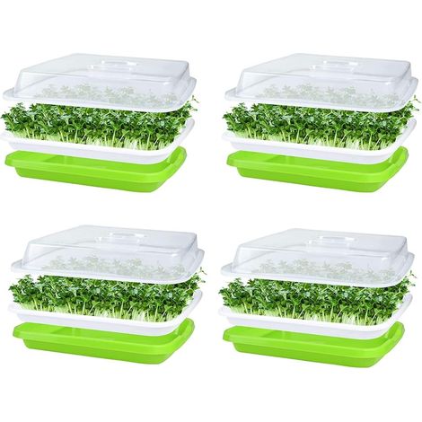 4 Pcs Seed Germination Trays with Lid, 32 cm x 26 cm Large Capacity Germination Tray Hydroponic Propagator BPA Free with 24 Planting Papers (1/5)