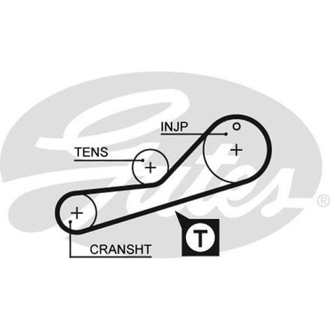 Courroie crantée Gates 5452XS FORD 1005828 1113169 1657013 1E07-13-823 6174410