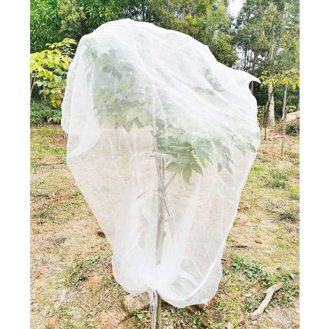 180 x 180 cm großes Insektenschutznetz für Obstbäume mit Kordelzug und Reißverschluss (1/5)