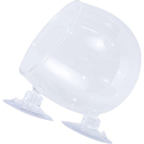 Pot en verre pour plantes aquatiques, idéal pour la maison ou le bureau. Présentoir pour plantes aquatiques. (1/5)