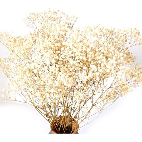 Fleurs Ivoire de Pouces Branches Gypsophile Naturelles pour Mariage DéCor FêTe à la Bricolage Vase Table 17 Blanches (1/4)