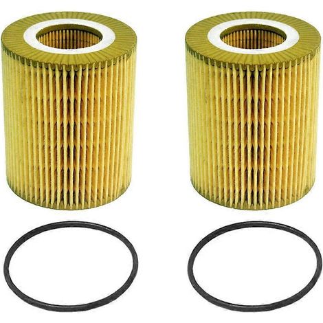 2 Ölfilterelemente LR013148 für Land Rover LR3 LR4 Range Rover Sport Diesel 3.0 V6 TD6