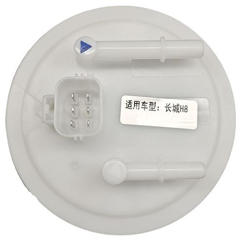 The new fuel pump assembly is compatible with the Great Wall H8 fuel pump 1106100XKW09A. (Model: 1106100XKW09A)--BIEMMEDUE (1/4)