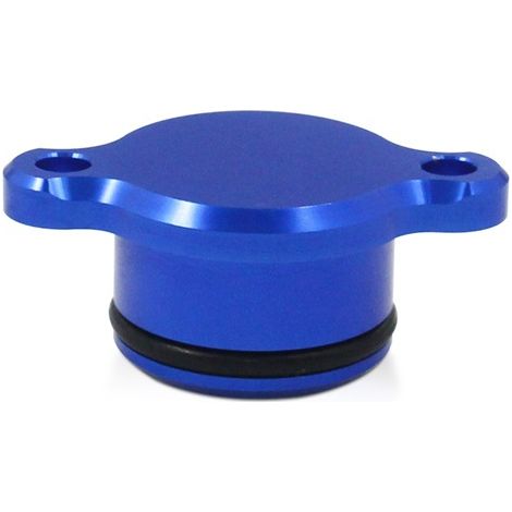 1 Farbe: blau Material: Aluminiumlegierung Entriegelungsstopfen für die Kraftstoffeinspritzpumpe Entriegelungsstopfen zum Entfernen der Kraftstoffeinspritzpumpe. (1/5)